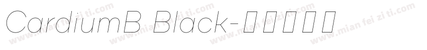 CardiumB Black字体转换